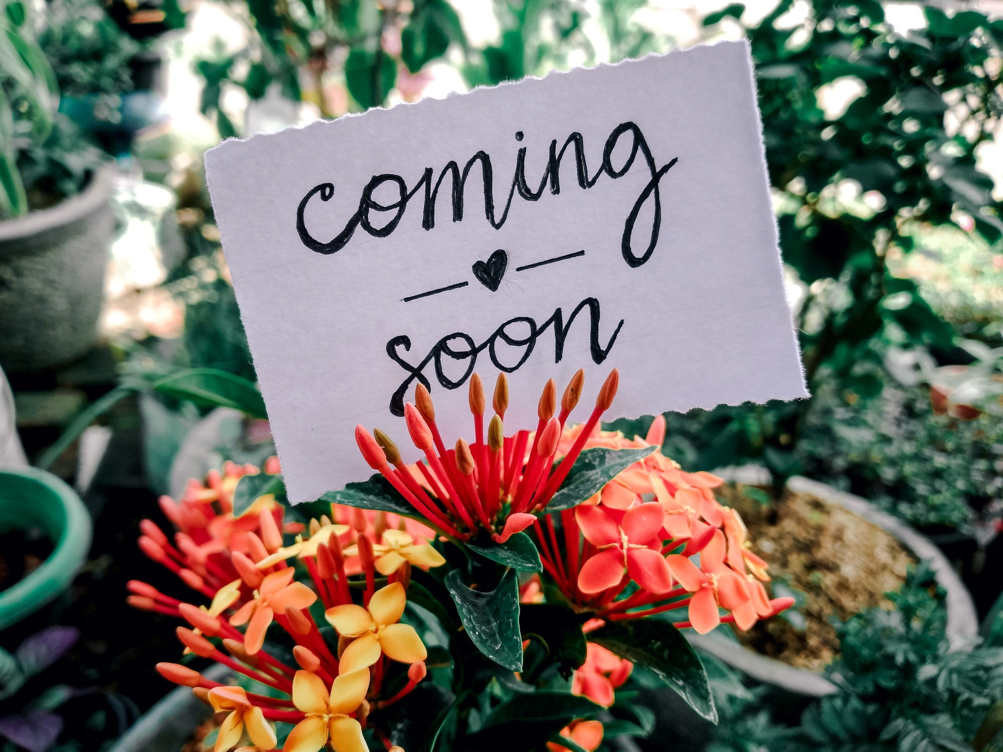 Coming soon