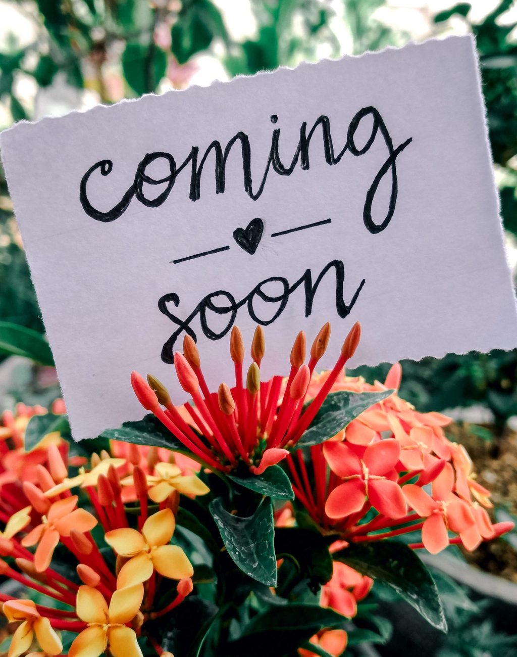 Coming soon
